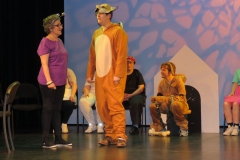 120_renard