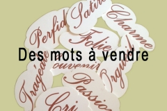 Affiche_mots_V1